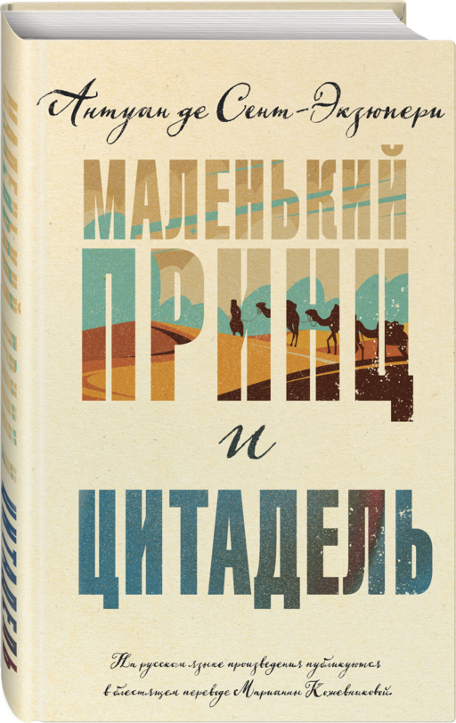 Маленький принц и Цитадель