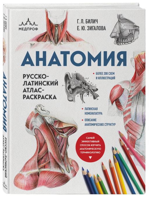 Анатомия: русско-латинский атлас-раскраска (новое оформление, новый формат)