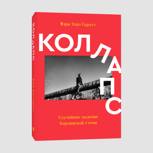 Коллапс. Случайное падение Берлинской стены