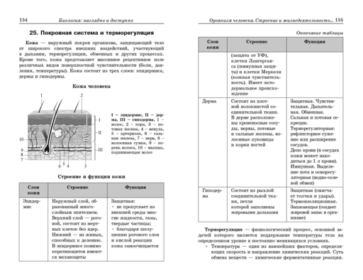Биология: наглядно и доступно