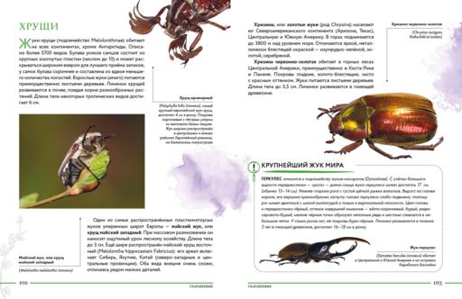 Насекомые мира. Детская энциклопедия