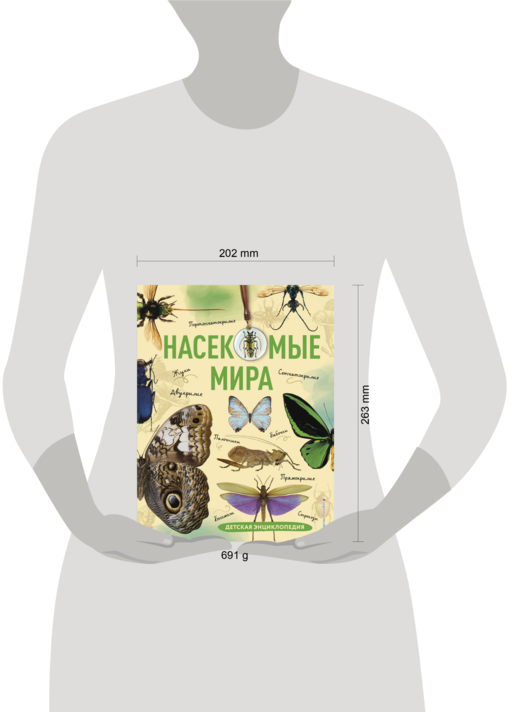 Насекомые мира. Детская энциклопедия
