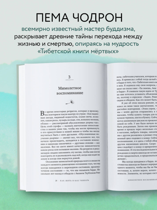 Как жить и как умирать