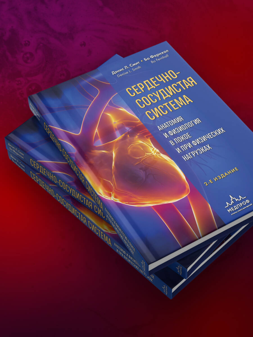 Сердечно-сосудистая система. Анатомия и физиология в покое и при физических нагрузках