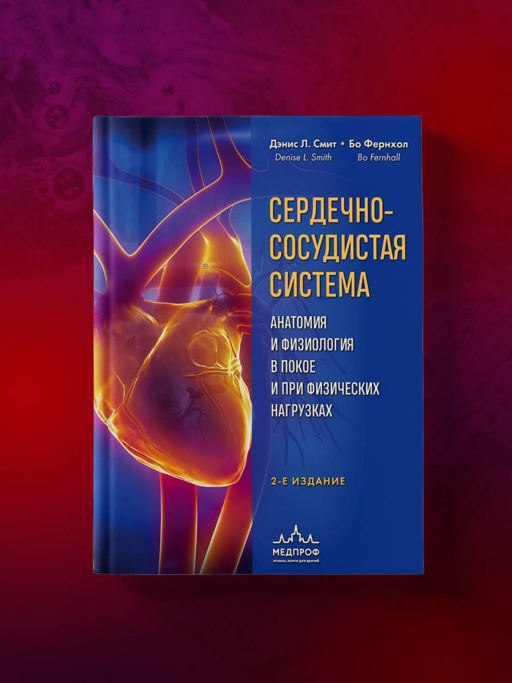 Сердечно-сосудистая система. Анатомия и физиология в покое и при физических нагрузках