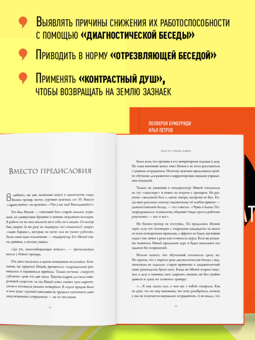 Уволить нельзя мотивировать. 10 принципов экологичного менеджмента для получения выдающихся результатов от сотрудников