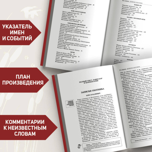 Записки охотника. Муму