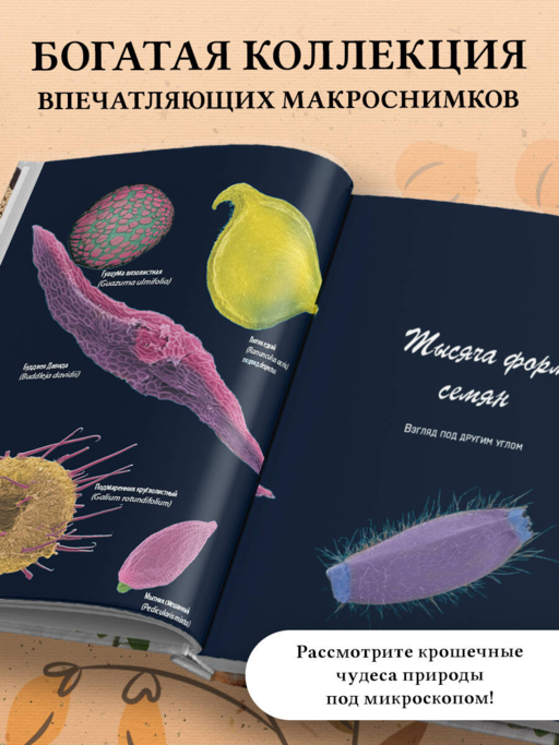 Семена и зерна. Иллюстрированный атлас. Удивительные факты о сельскохозяйственных культурах и их влияние на развитие человечества