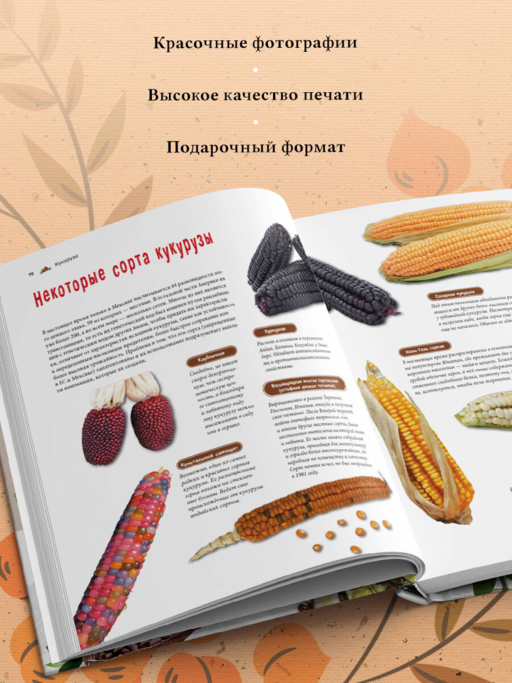 Семена и зерна. Иллюстрированный атлас. Удивительные факты о сельскохозяйственных культурах и их влияние на развитие человечества