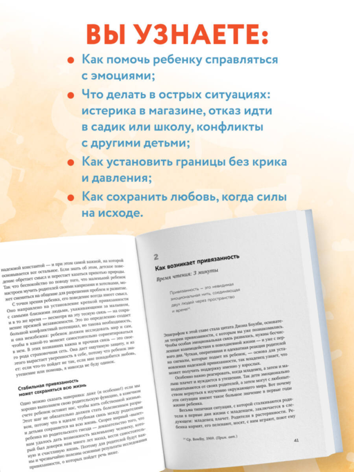 Мой маленький сорванец. Как воспитывать гиперактивного ребенка и не сойти с ума
