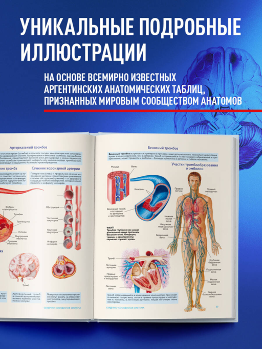 Анатомия человека. Популярный атлас. Самые подробные анатомические изображения