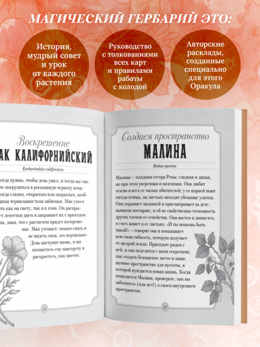 Магический гербарий. 36 карт с посланиями от волшебных растений (Оракул. 36 карт и руководство в коробке)