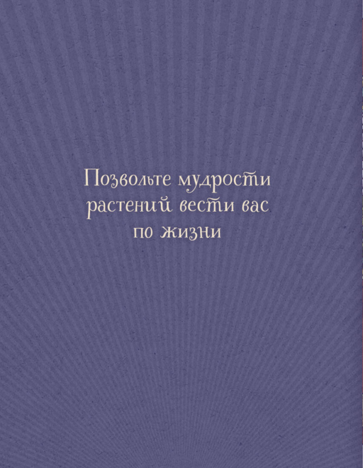 Магический гербарий. 36 карт с посланиями от волшебных растений (Оракул. 36 карт и руководство в коробке)