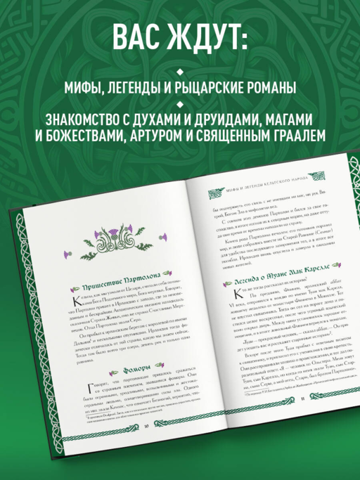 Мифы и легенды кельтов. Коллекционное издание (переплет под натуральную кожу, обрез с орнаментом, два вида тиснения)
