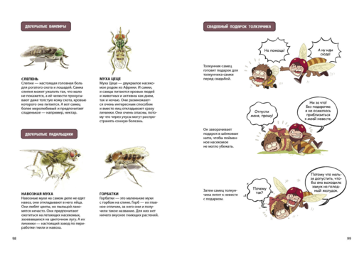 НасеКомиксы. Пчела против журчалки: поединок полосатых!