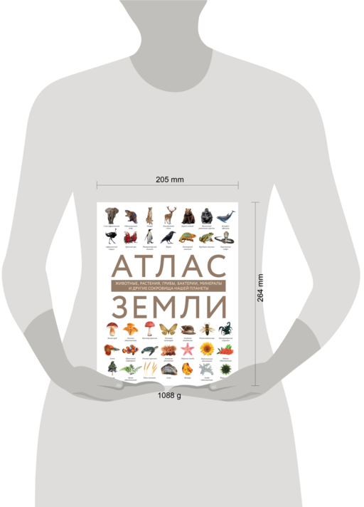Атлас Земли. Животные, растения, грибы, бактерии, минералы и другие сокровища нашей планеты