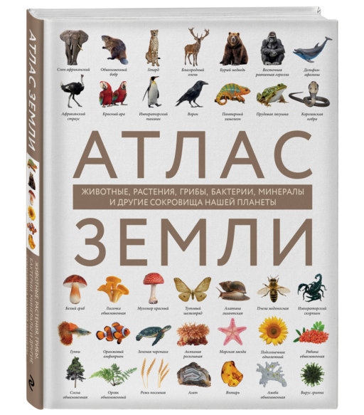 Атлас Земли. Животные, растения, грибы, бактерии, минералы и другие сокровища нашей планеты