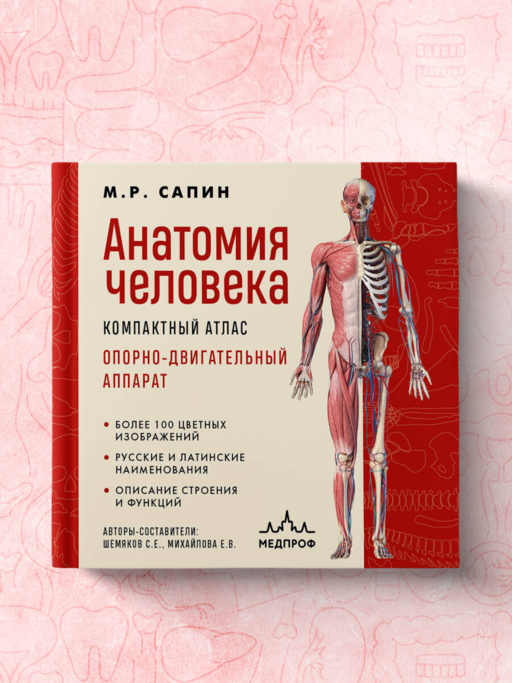Анатомия человека. Компактный атлас. Опорно-двигательный аппарат