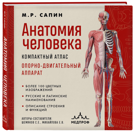Анатомия человека. Компактный атлас. Опорно-двигательный аппарат