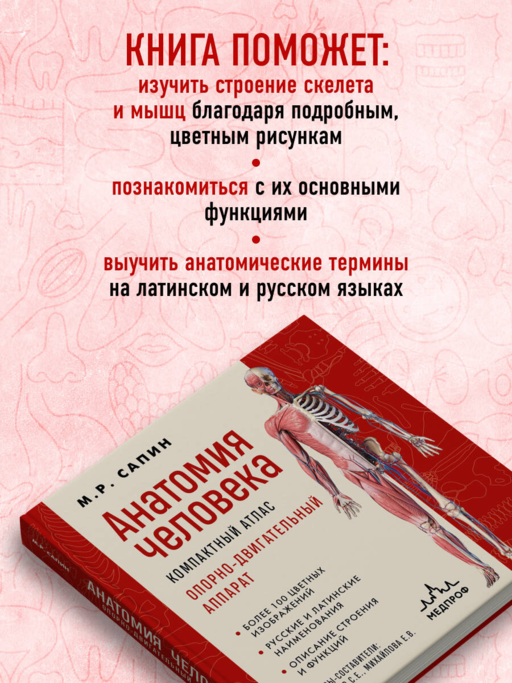 Анатомия человека. Компактный атлас. Опорно-двигательный аппарат