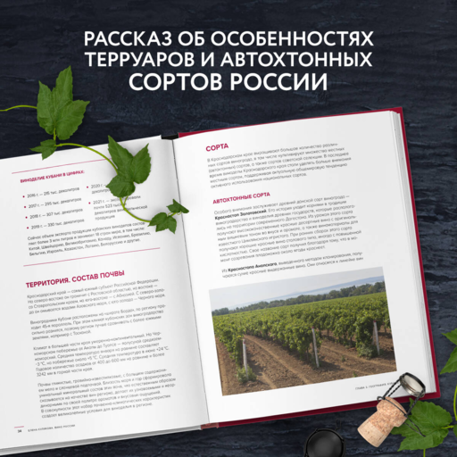 Вино России. История, география, выбор
