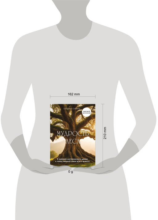 Мудрость леса. В поисках материнского древа и таинственной связи всего живого