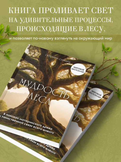 Мудрость леса. В поисках материнского древа и таинственной связи всего живого