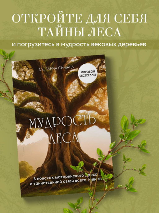 Мудрость леса. В поисках материнского древа и таинственной связи всего живого