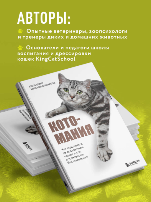 Котомания. Что скрывается за поведением кошки и как воспитать ее без наказания