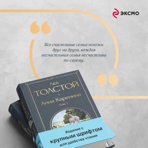 Анна Каренина (комплект из 2 книг с крупным шрифтом)