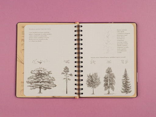 «Sketchbook. Продвинутые техники», пурпурный
