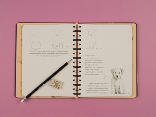 «Sketchbook. Продвинутые техники», пурпурный