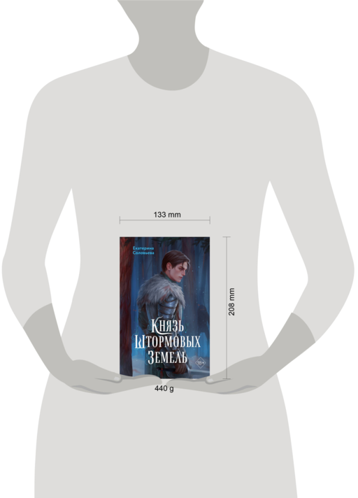 Князь Штормовых Земель
