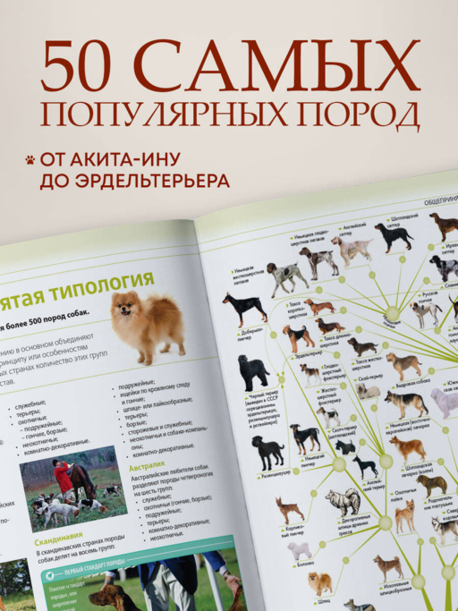 Собаки. Подарочная иллюстрированная энциклопедия (новое оформление)